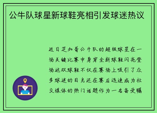 公牛队球星新球鞋亮相引发球迷热议