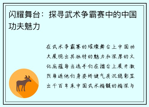 闪耀舞台：探寻武术争霸赛中的中国功夫魅力